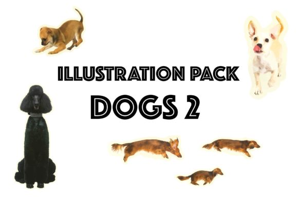A Brand Designer’s Review: Using Illustration Pack Dogs 2