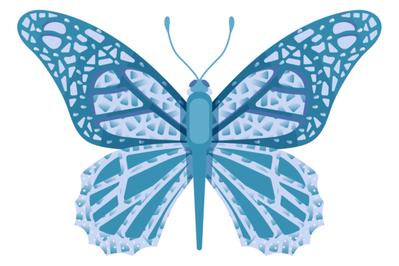 Blue Butterfly Illustrations: A Graphic Designer's Review