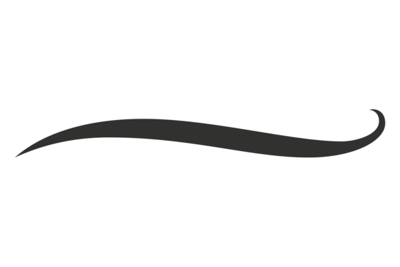 Curly Swoosh Graphics for Retro Brand Illustrations