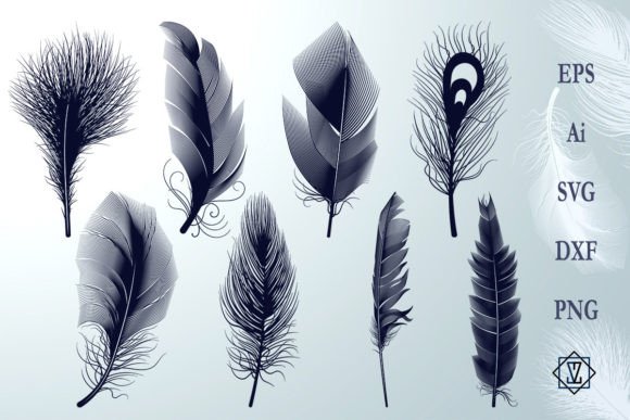 Feather Silhouettes: An Elegant Graphics Asset for Illustrations